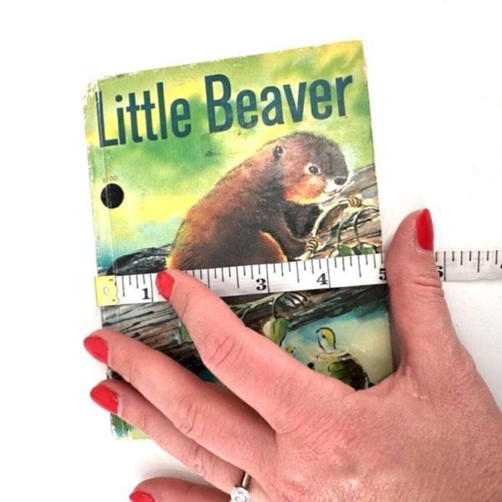 Vintage Junior Elf Book Little Beaver Nonfiction Childrens Learning Rand McNally - Picture 10 of 11